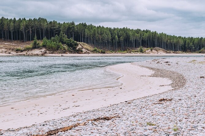 1 Day Moray Coast Tour with Speyside Whisky from Inverness - Seabirds, seals, and the changing wildlife plan