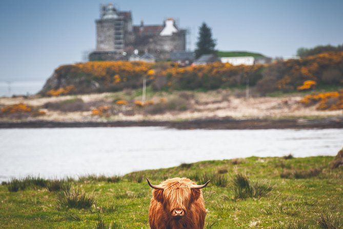 3-Day Isle of Mull and Iona Small-Group Tour from Glasgow - Staffa and Fingal’s Cave require good weather