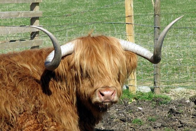 3-Day Isle of Skye and Highlands Tour from Glasgow - Why this three-day route works for a first Highland visit