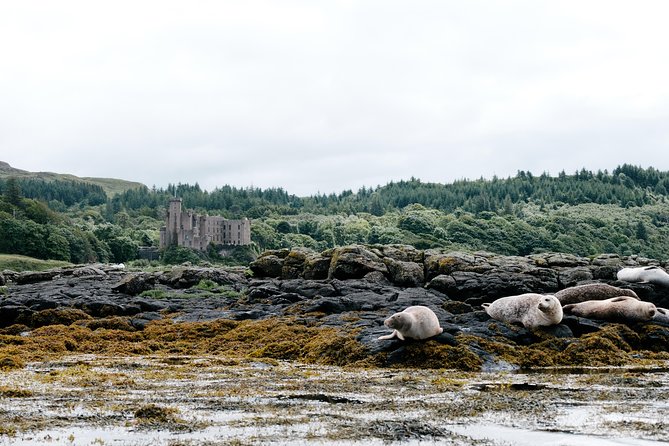 3-Day Isle of Skye, 'Hogwarts Express' Train and Highlands Tour - The coach, group size, and guide quality