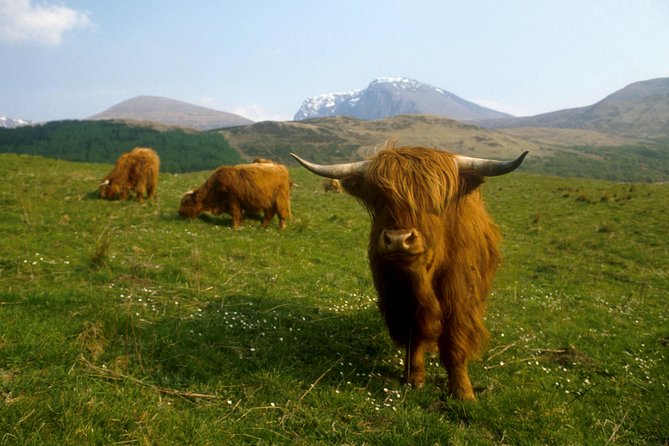 3-Day Isle of Skye, 'Hogwarts Express' Train and Highlands Tour - What to pack and how to prepare