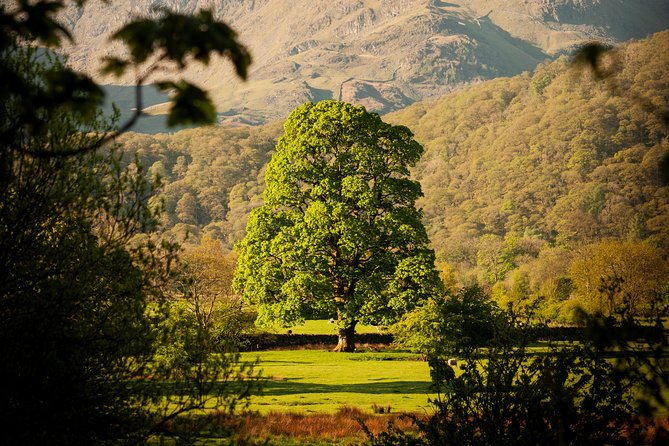 3-Day Lake District Explorer Small-Group Tour from Edinburgh - Who will enjoy this trip most