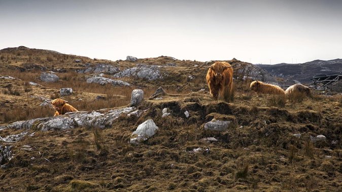3-Day Lewis, Harris and the Outer Hebrides Small-Group Tour from Inverness - Why three days works for Lewis and Harris