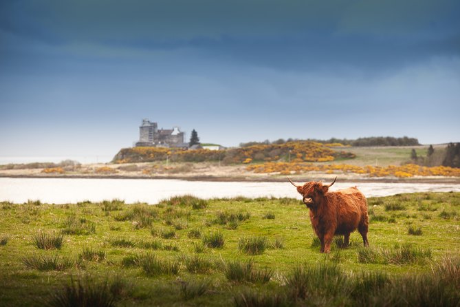 4-Day Magical Mull, Iona & West Highlands Small-Group Tour from Edinburgh - Staffa and Fingal’s Cave