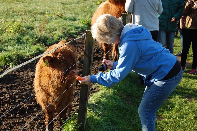 5-Day Best of Scotland Tour from Edinburgh - Day 1: Loch Lomond, Inveraray, and Kilmartin Glen