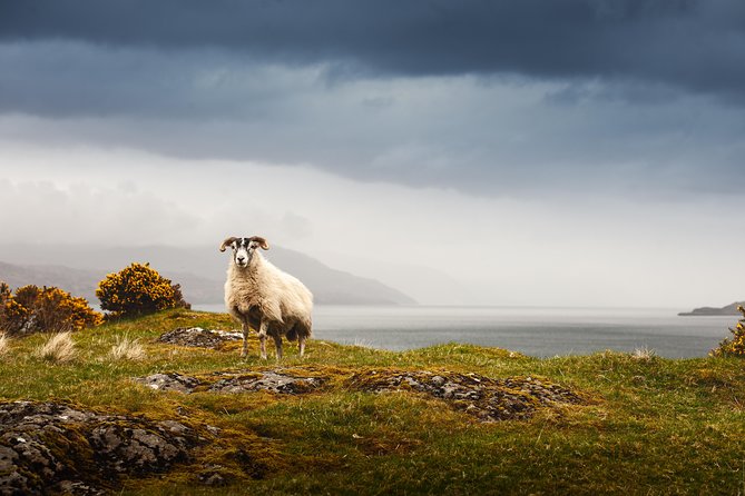5-Day Iona, Mull and the Isle of Skye Small-Group Tour from Edinburgh - Day Four: Kilt Rock, Portree, and the Quiraing