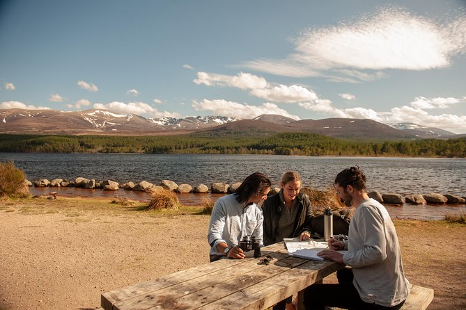 5-Day Orkney & Northern Coast Tour from Edinburgh Incl Admissions - Day 4: Northern Scotland, Assynt, and Ardvreck Castle