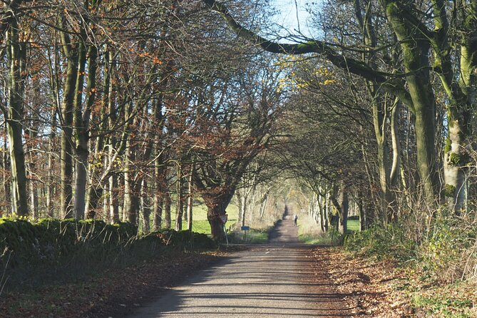 6hr Small Group Peak District eBike Tour - Limestone Way and the Bradford River Walk