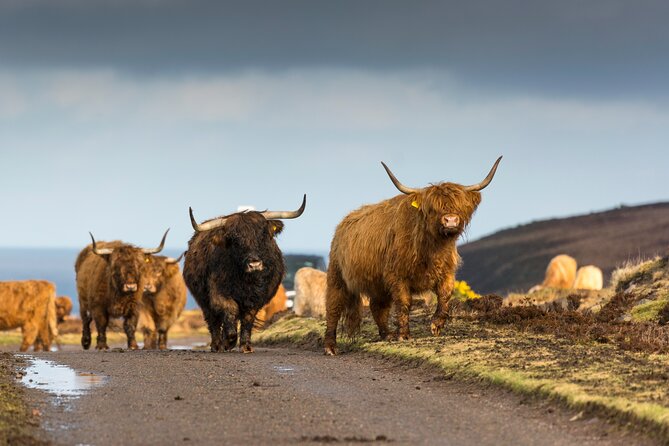 8 Day Isle of Skye, Orkney & North Coast 500 tour from Edinburgh - Day 1: Dunkeld, Highland life, Culloden, and Clava Cairns