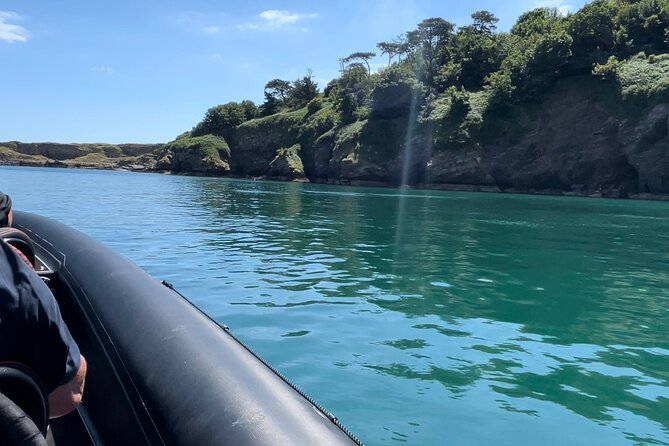 90 Minute Coastal Explorer in Torquay - Thatcher Rock and its seabirds and seals