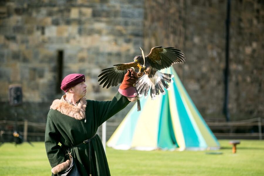 Alnwick: Alnwick Castle Ticket - Accessibility, food, and comfort