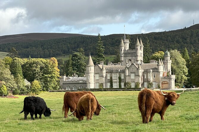 Balmoral & Royal Deeside Tour - What the small group adds to the day