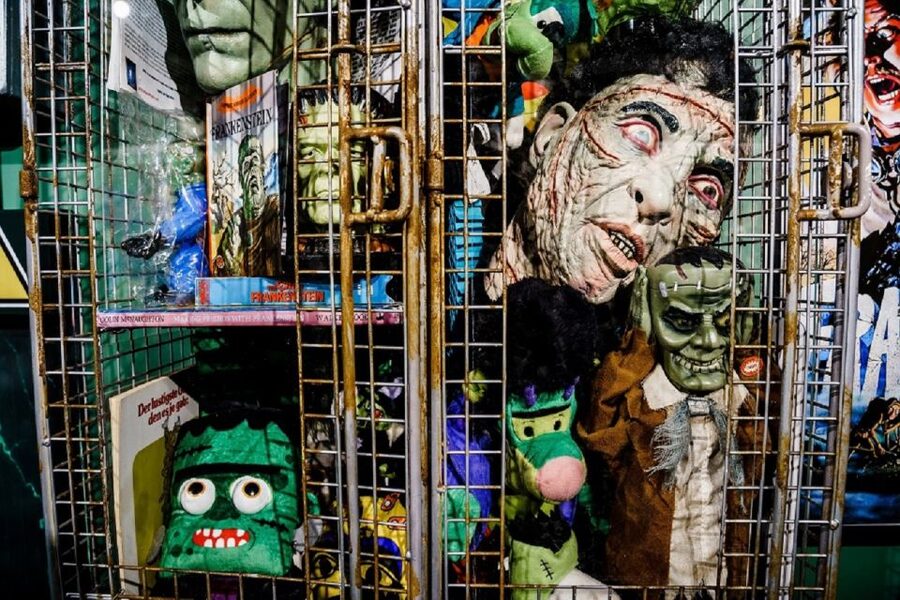 Bath: Mary Shelley's House of Frankenstein Entrance Ticket - Popular culture shows how the monster changed