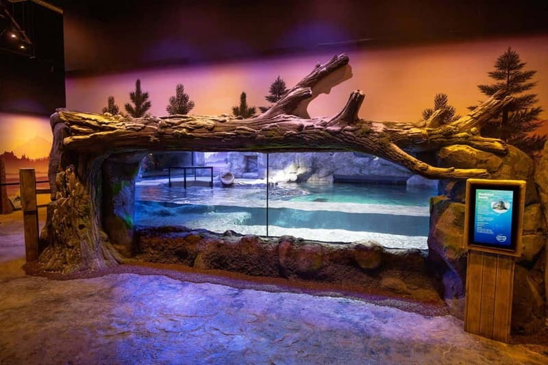 Birmingham: National Sea Life Centre Entrance Ticket - Inside Birmingham’s National SEA LIFE Centre