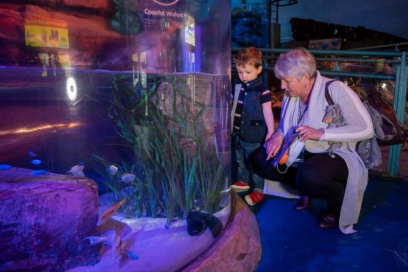 Birmingham: National Sea Life Centre Entrance Ticket - The 4D Cinema adds a change of pace