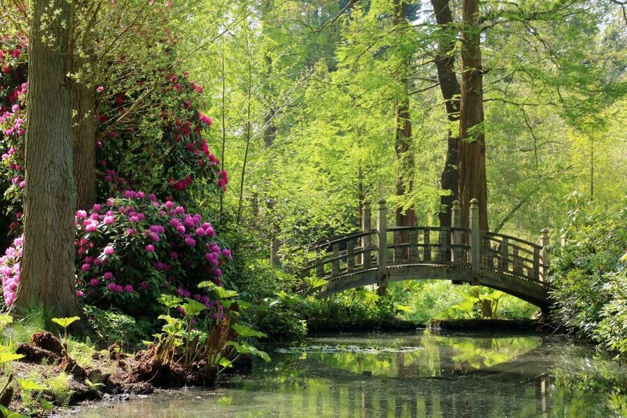 Birmingham: Winterbourne House and Garden Admission Ticket - Walk the Japanese and woodland sections