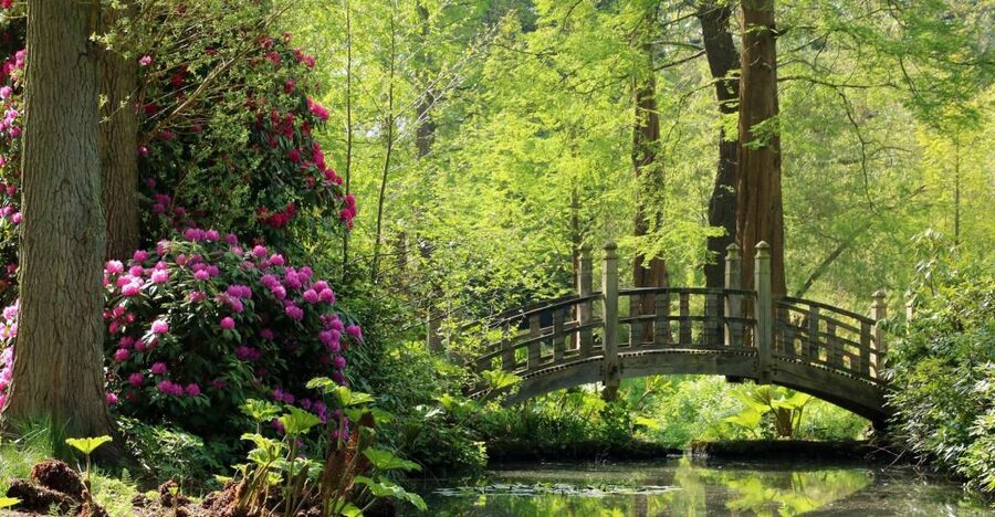 Birmingham: Winterbourne House and Garden Admission Ticket - Access, mobility, and practical comfort