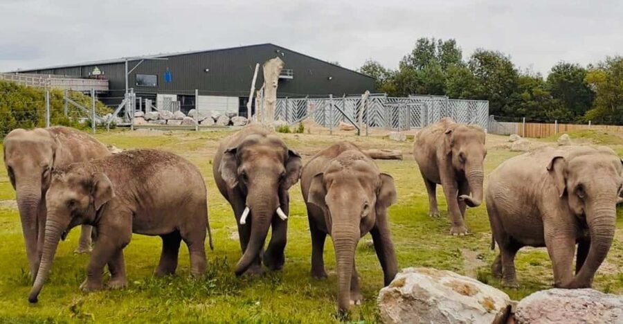 Blackpool: Zoo Admission Ticket - Why Blackpool Zoo works well for a full day
