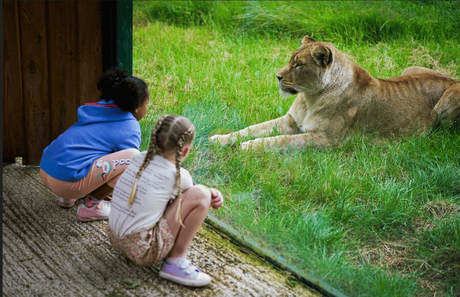 Blackpool: Zoo Admission Ticket - Sea lions, keeper talks, and feeding times