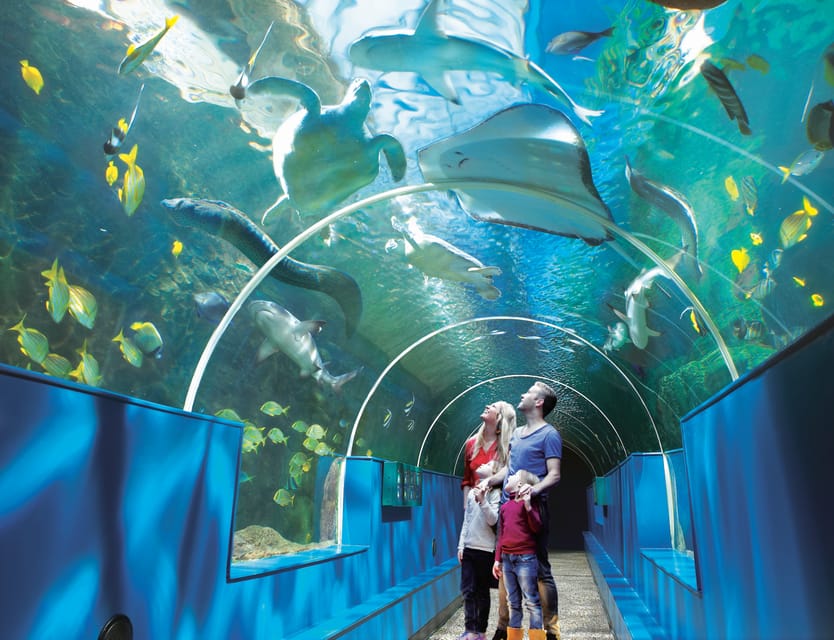 Bournemouth Oceanarium Ticket - The price is fair, but the cafe is limited