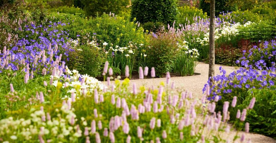 Bridgewater: Royal Horticultural Society Garden Ticket - Why RHS Garden Bridgewater is different