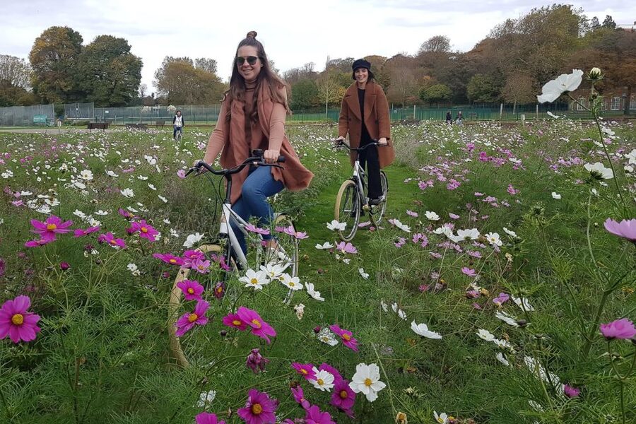 Brighton City Bike Tour - Why a bicycle is a smart way to meet Brighton