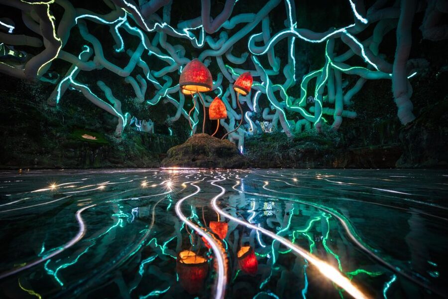 Bristol: Wake The Tiger Amazement Park Entry Ticket - The Dream Factory rewards slow exploring