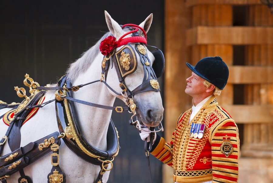 Buckingham Palace: The Royal Mews Entrance Ticket - The first look at the royal coaches