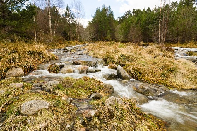 Cairngorms & Whisky Day Tour from Inverness Including Admission - A full Highland day from Inverness