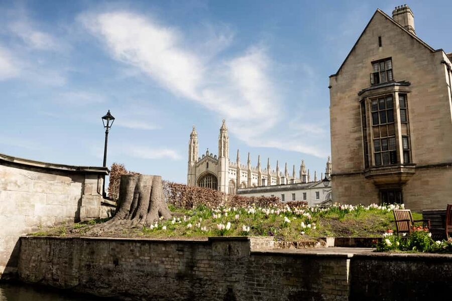 Cambridge: Alumni-Led Walking & Punting Tour w/Kings College - Science, folklore, and The Eagle pub