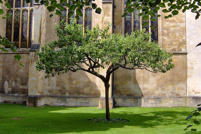Cambridge University Walking Tour - The Corpus Clock and Cambridge’s scientific side