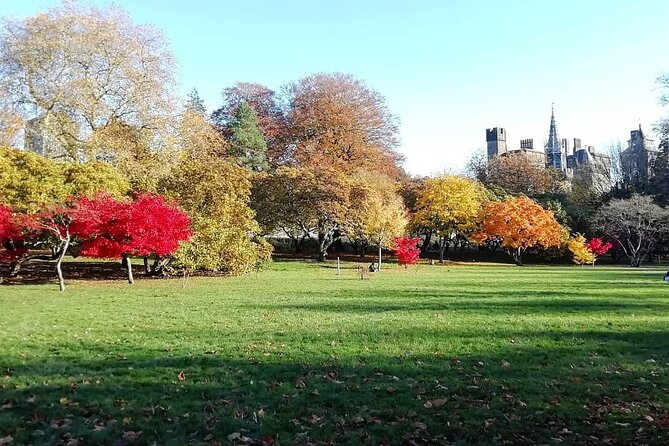 Cardiff City Private Guided Walking Tour - What the $208.34 group price really means
