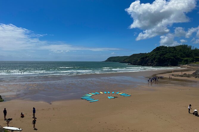 Cardiff: Gower Peninsula's Cliffs Scenic Day Tour - Langland Bay to Caswell Bay on foot