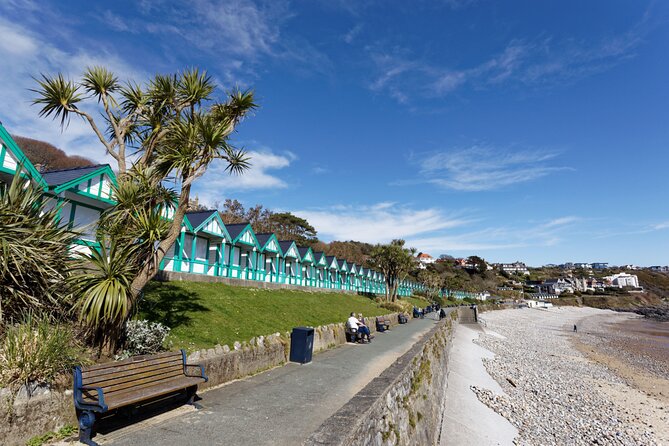 Cardiff: Gower Peninsula's Cliffs Scenic Day Tour - Rhossili Bay, the day’s big view