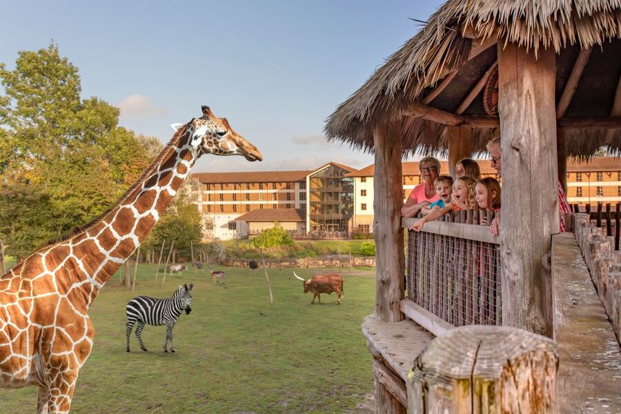 Chessington World of Adventures Resort: Entrance Ticket - Cleanliness, queues, and day-to-day operations