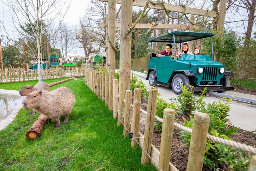 Chessington World of Adventures Resort: Entrance Ticket - Mandrill Mayhem and the need to plan ahead