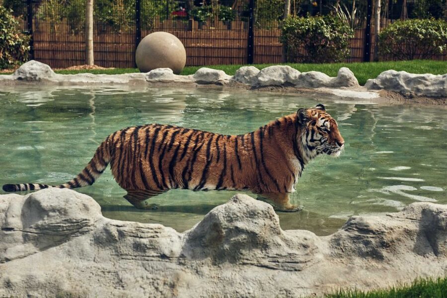Chessington World of Adventures Resort: Entrance Ticket - Food costs and the real price of the day