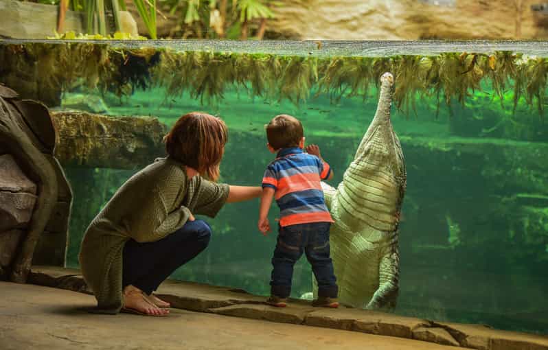 Chester: Chester Zoo Entry Ticket - Heart of Africa is the headline habitat