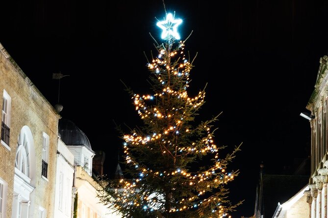 Christmas Mulled Wine Walk of Winchester - Timing, comfort, and practical planning