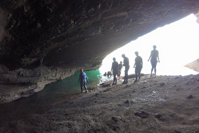 Coasteering Geopark Adventure In Torquay - Sea caves, ancient forest, and stories from the rocks