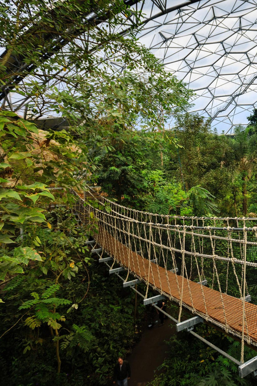 Cornwall: Eden Project Entry Ticket - Exhibits, conservation, and changing events