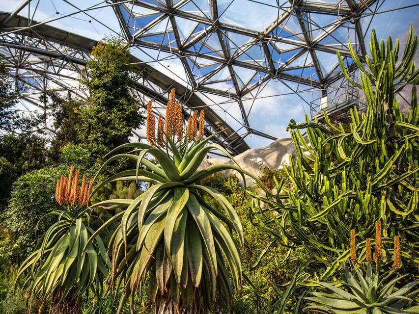 Cornwall: Eden Project Entry Ticket - Food, water, toilets, and rest stops