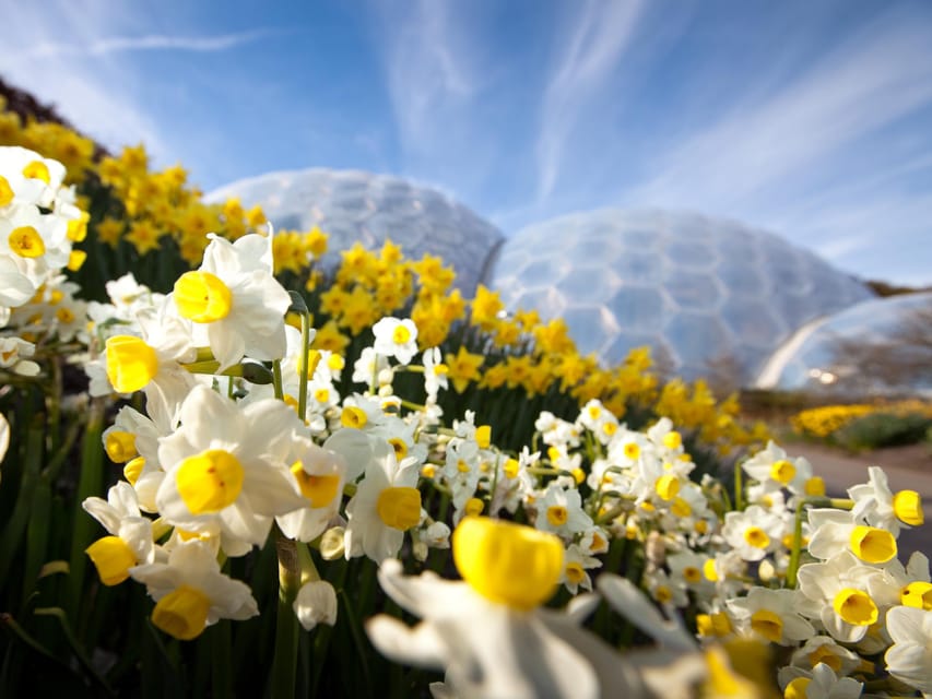 Cornwall: Eden Project Entry Ticket - Dogs, children, and different activity levels