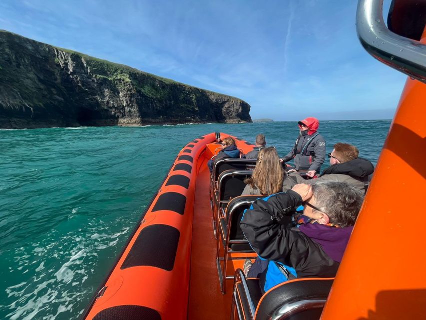 Cornwall: Guided Seal Safari by Boat - Setting Out From Padstow