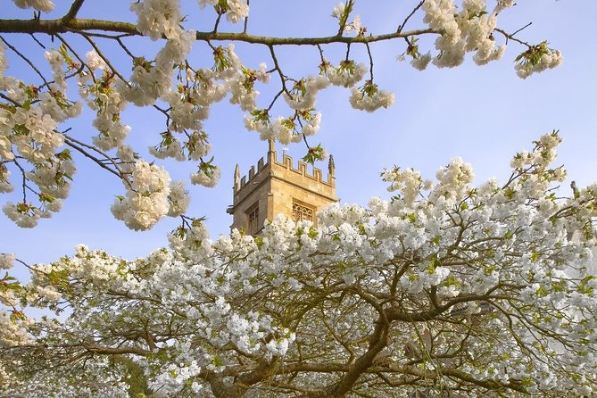 Cotswolds Small Group Tour from London - What the guides add to the day