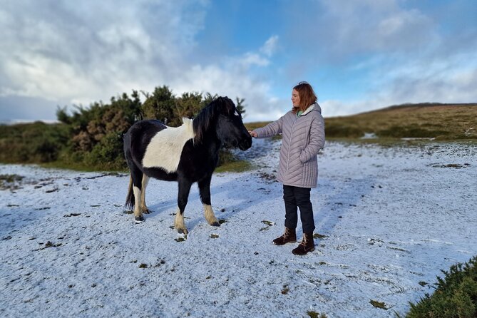 Dartmoor Tour - Key details before you book