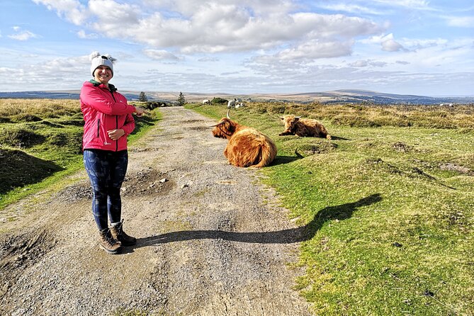 Dartmoor Tour - What Nigel adds to the experience