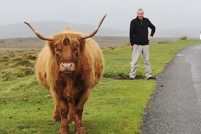 Dartmoor Tour - Price, pickup, lunch, and practical value