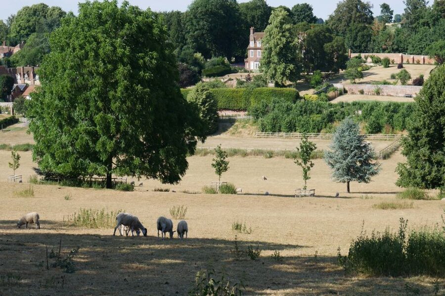 Day-Tour of the Midsomer Murders Locations - Churches, pubs, houses, and village greens