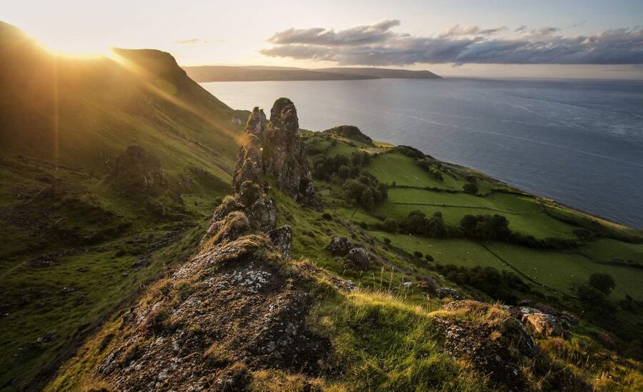 Dublin: Giant's Causeway, Dark Hedges & Titanic Guided Tour - The Dark Hedges, a beautiful but brief stop